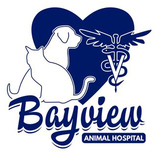 Bayview Animal Hospital